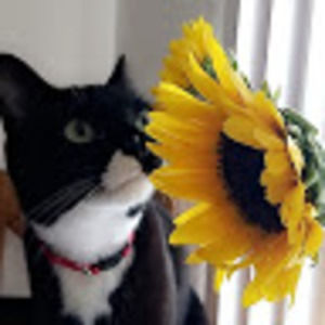 Meet your Posher, Kaitlin